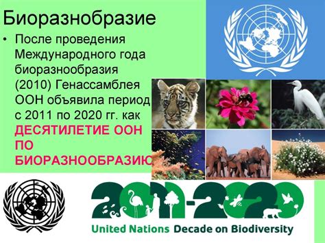 Биоразнообразие Челябинской области - презентация онлайн