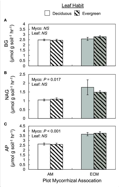 Potential Soil Extracellular Enzyme Activities Of Glucosidase