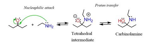 Imines From Aldehydes And Ketones With Primary Amines Chemistry Steps