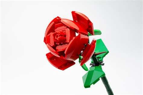 LEGO Iconic 40460 Roses review, photos and gallery