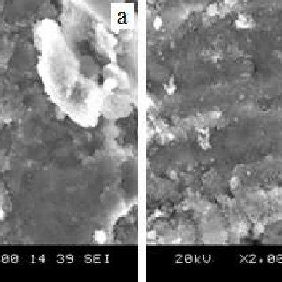 SEM Micrograph Of A Raw Kaolin And B Mechanical Activated Kaolin