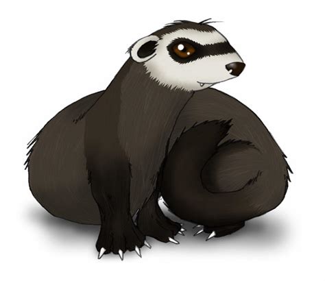 Ferret Features By Dedded On Deviantart