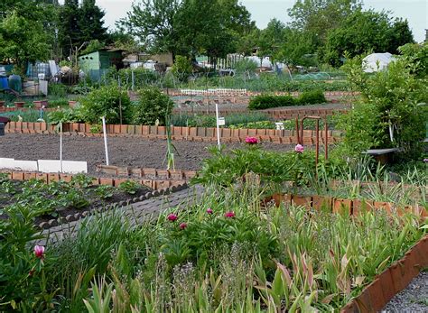 Les Jardins Familiaux Ces Petits Paradis Populaires Thierry Apoth Loz