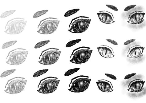 Learning Art - Anime Cat Eyes by VagrantWork on DeviantArt