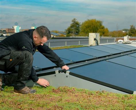 Sedum Zonnepanelen Bespaar Op Uw Energie Groendakcoach