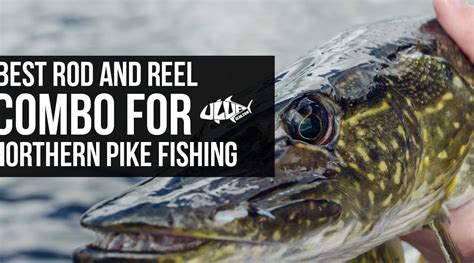 Best Rod And Reel Combo For Northern Pike Fishing Uluacom