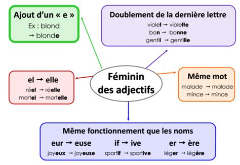 Le F Minin De L Adjectif Le F Minin Des Adjectifs Adjectifs Les