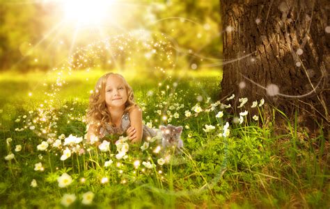 Free Images Tree Nature Forest Grass Light Bokeh Plant