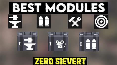 Zero Sievert Best Modules YouTube