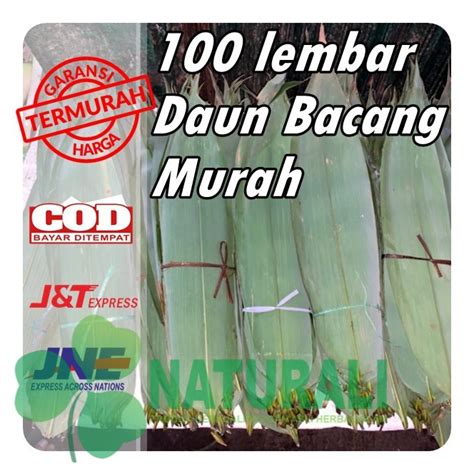 Jual Lembar Daun Bacang Daun Bakcang Daun Kicang Daun Bambu