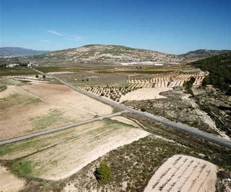 Tarima Monastrell Alicante Do Vinho Tinto Espanhol Center