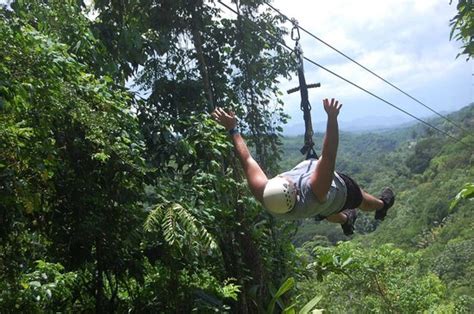 Me Ziplining Through Jamaica Jungle Picture Of Jamaica Zipline