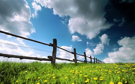 Wallpaper Sunlight Nature Sky Field Morning Wind Horizon Cloud Flower Grassland