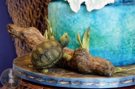 Rainbow Trout Cake