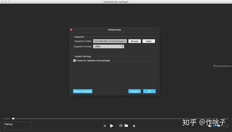 VideoSolo Blu ray Player for Mac 强大的蓝光播放器 知乎