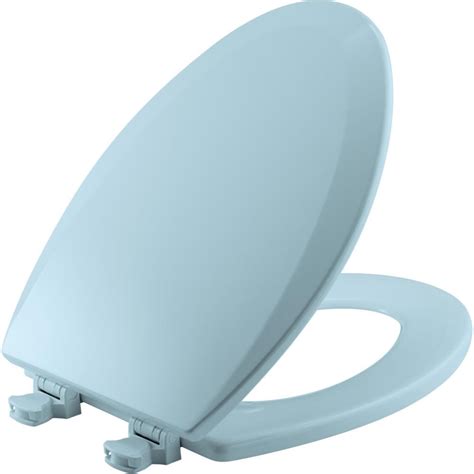 Disabled Toilet Seat Colour At Tammy Thrall Blog