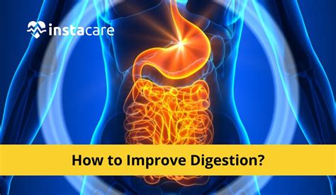 How To Improve Digestion 12 Best Ways