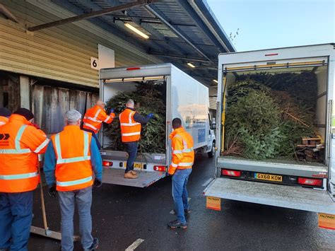 Pilgrims Christmas Tree Recycling Becomes A Tree Mendous Success In Ashford