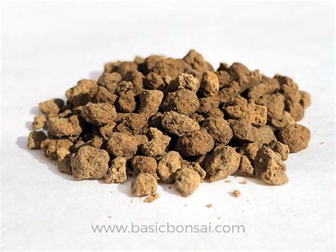 The Basics of Bonsai Soil - Basic Bonsai