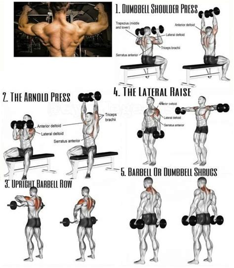 8 Tricks For Bigger Healthier Shoulders Gym Workouts For Men Workout Routine For Men