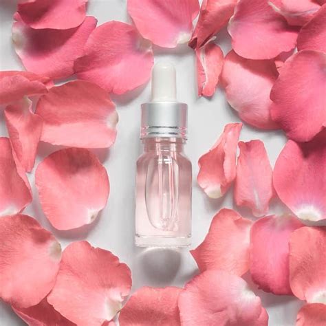 Comment Faire Son Eau De Rose Pour Le Visage Artofit