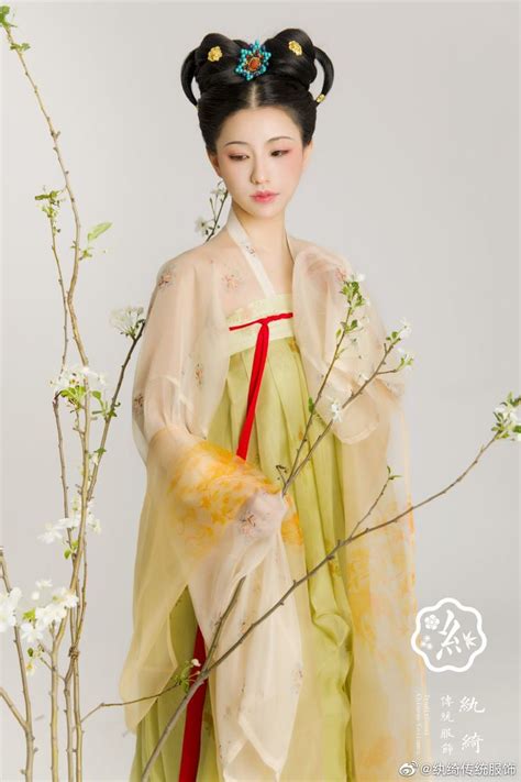 Hanfu China Tang Dynasty Chinese Traditional Clothing Hanfu