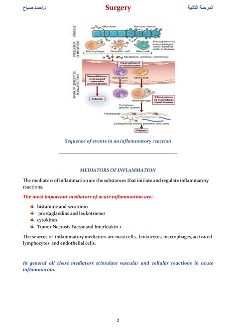 Solution Acute And Chronic Inflammation Studypool