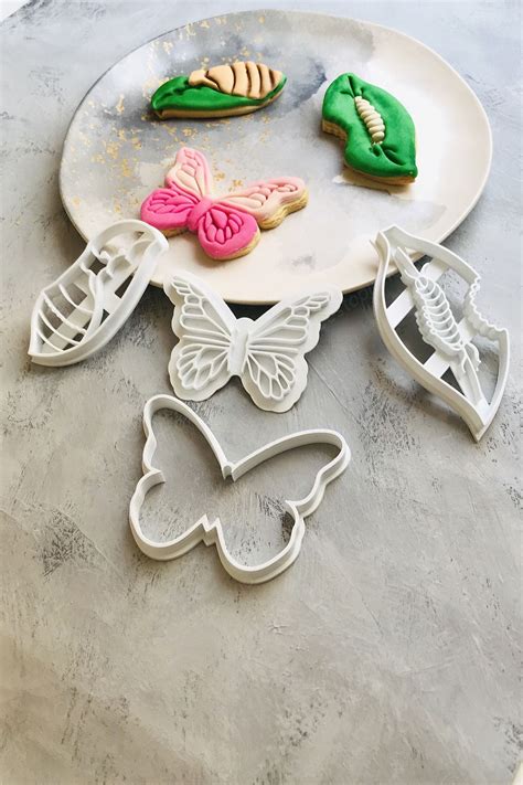 CESTOPİENO Life Cycle of the Butterfly Set of 4 Dough Shaper Cookie