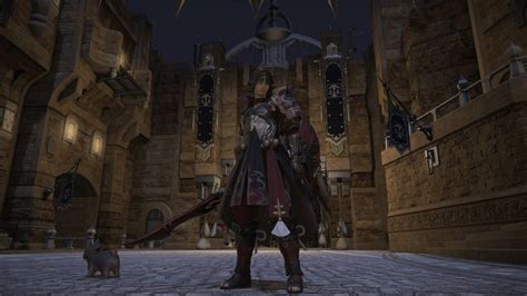 FFXIV Paladin Job Guide: Leveling and Rotation | HGG