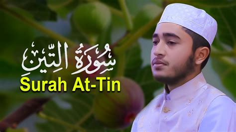 Surah At Tin Qari Abu Rayhan Quran Tilawat قاري ابو ريحان سُوۡرَةُ