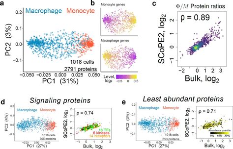 Single Cell Mass Spectrometry Quantifies The Emergence Of Macrophage Heterogeneity Biorxiv