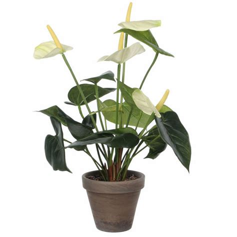 Kunstplant Anthurium Wit Flamingoplant In Pot 27 Cm Kunstplanten