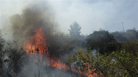 Declaran Alerta Amarilla Por Incendios Forestales En Sectores De La