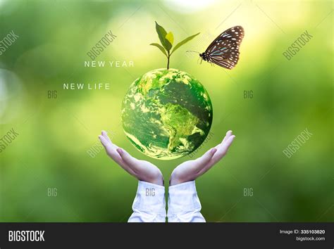 Ecology Environment Image And Photo Free Trial Bigstock