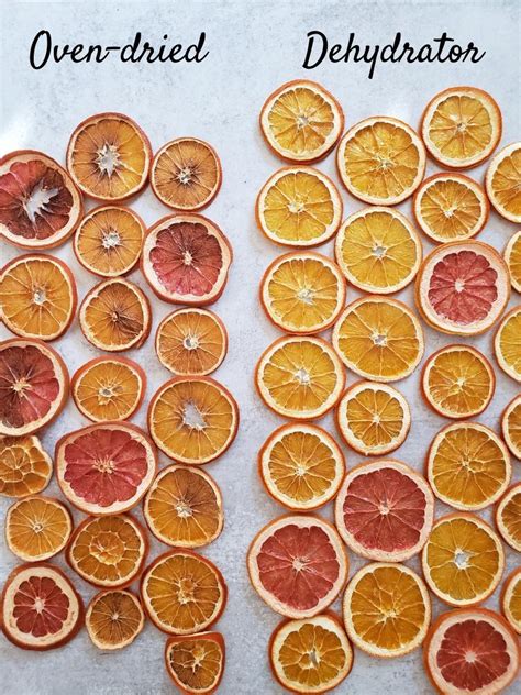 How To Dry Orange Slices For Holiday Decor Two Ways ~ Homestead And Chill