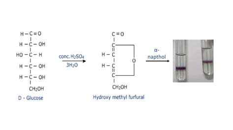 Qualitative Analysis Of Carbohydrates Ppt