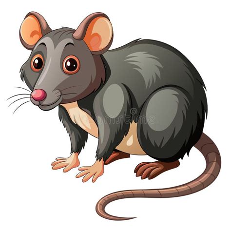 Cute Rat Cartoon on White Background I Stock Illustration ...