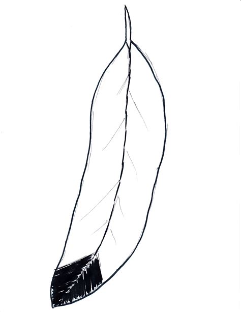 Eagle Feather Clipart Free 10 Free Cliparts Download Images On