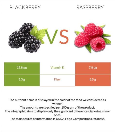 Blackberry Vs Raspberry Health Impact And Nutrition Comparison High Fiber Foods Fiber Foods