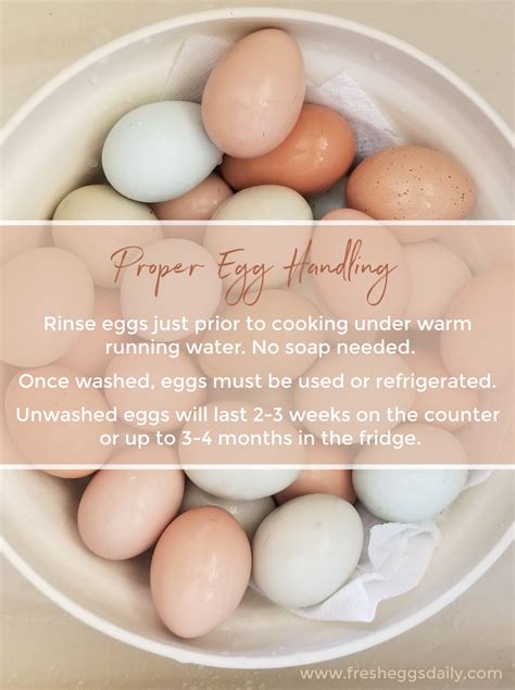 Egg Handling Free Printable