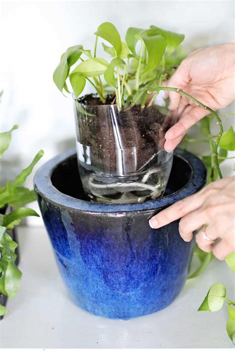 Self Watering Planter Hacks You Have To Try Diy Self Watering