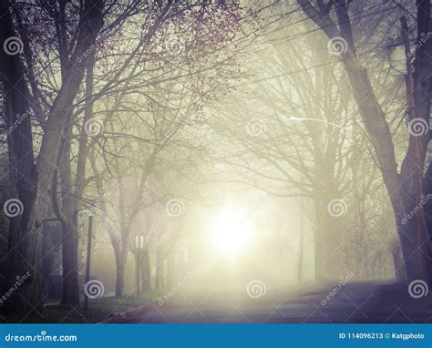 Street In The Fog Stock Image Image Of Foggy Lights 114096213