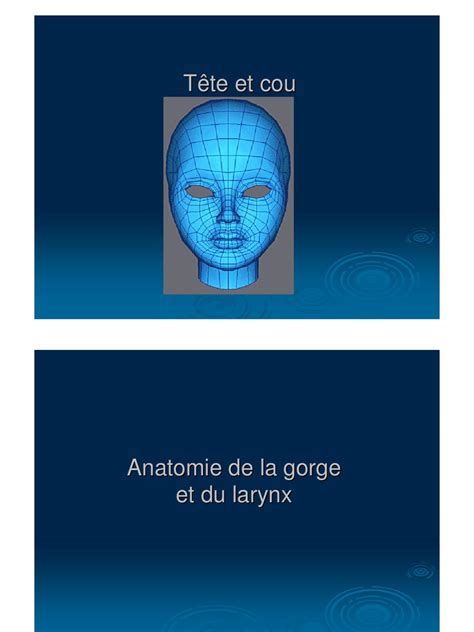 PDF Cours D Anatomie Anatomie Gorge Et Larynx DOKUMEN TIPS