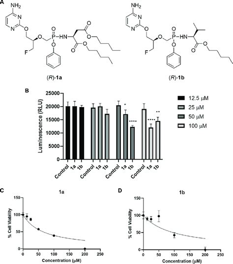 Cytotoxicity of extended treatment of compounds 1a and 1b in primary... | Download Scientific ...