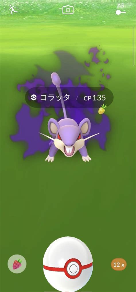 【ポケモンgo】コラッタの入手方法、能力、技まとめ 攻略大百科