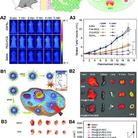 Schematic Illustrating The Passive Cellular Targeting Epr Effect And Download Scientific