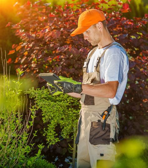 Seasonal Maintenance Integrated Lawn And Tree