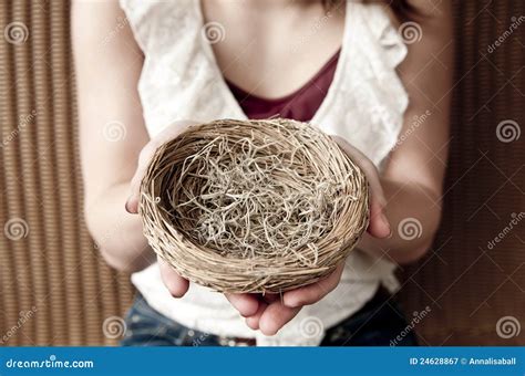 Empty Nest Stock Image Image Of Leaving Home Fragile 24628867