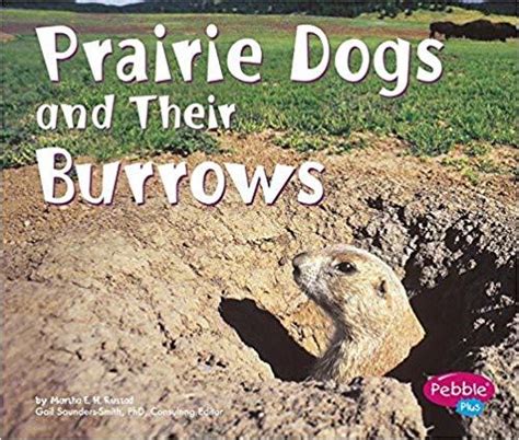 Prairie Dogs And Their Burrows Animal Homes By Martha Eh Rustad