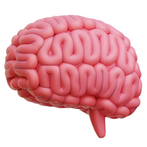 cerebro 3d icono ilustración 28753801 PNG